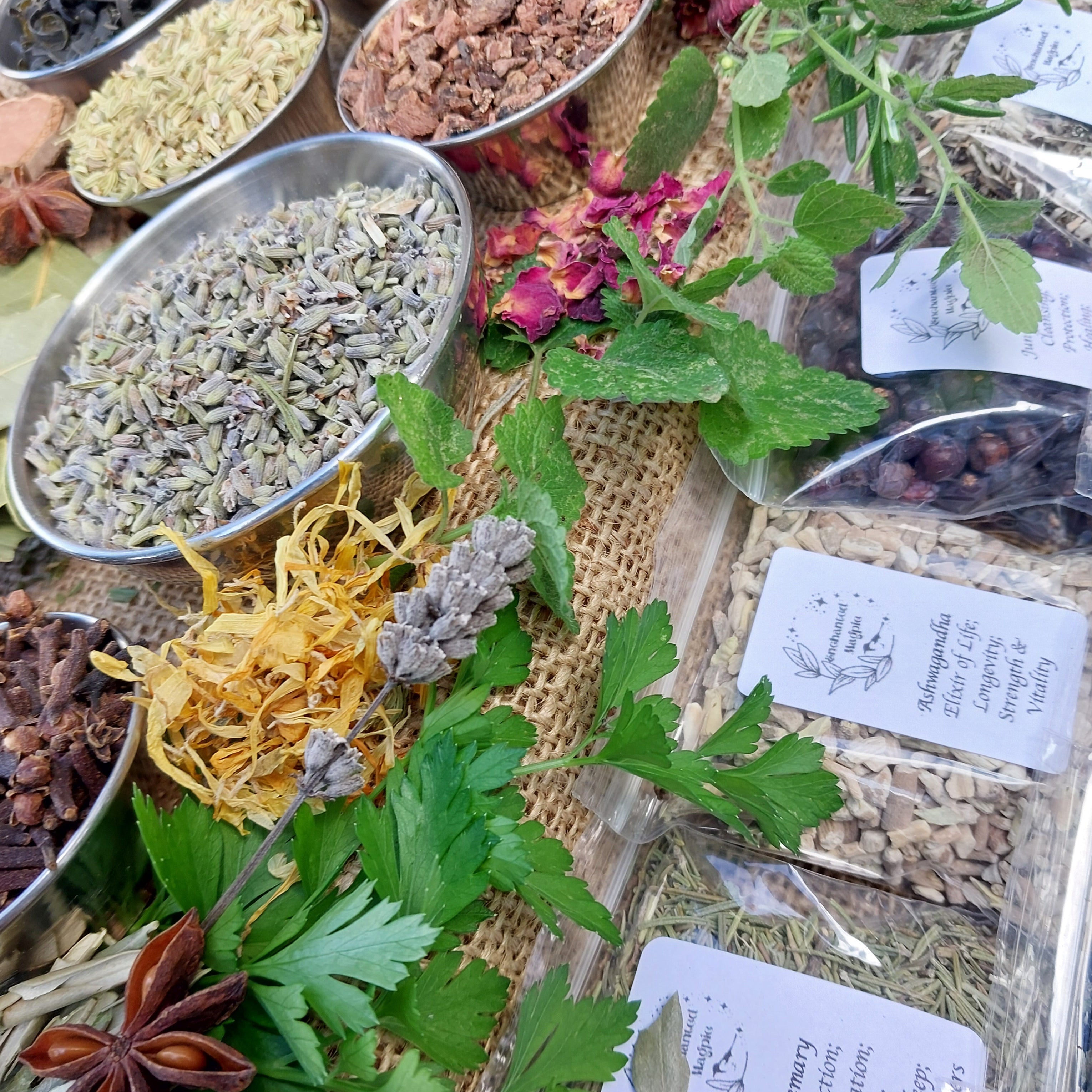 Dried Herb Sachet Packs - Sets of 10+ - 70 Varieties & 2 Sizes to Choose From - Spells, Rituals, Incense, Teas