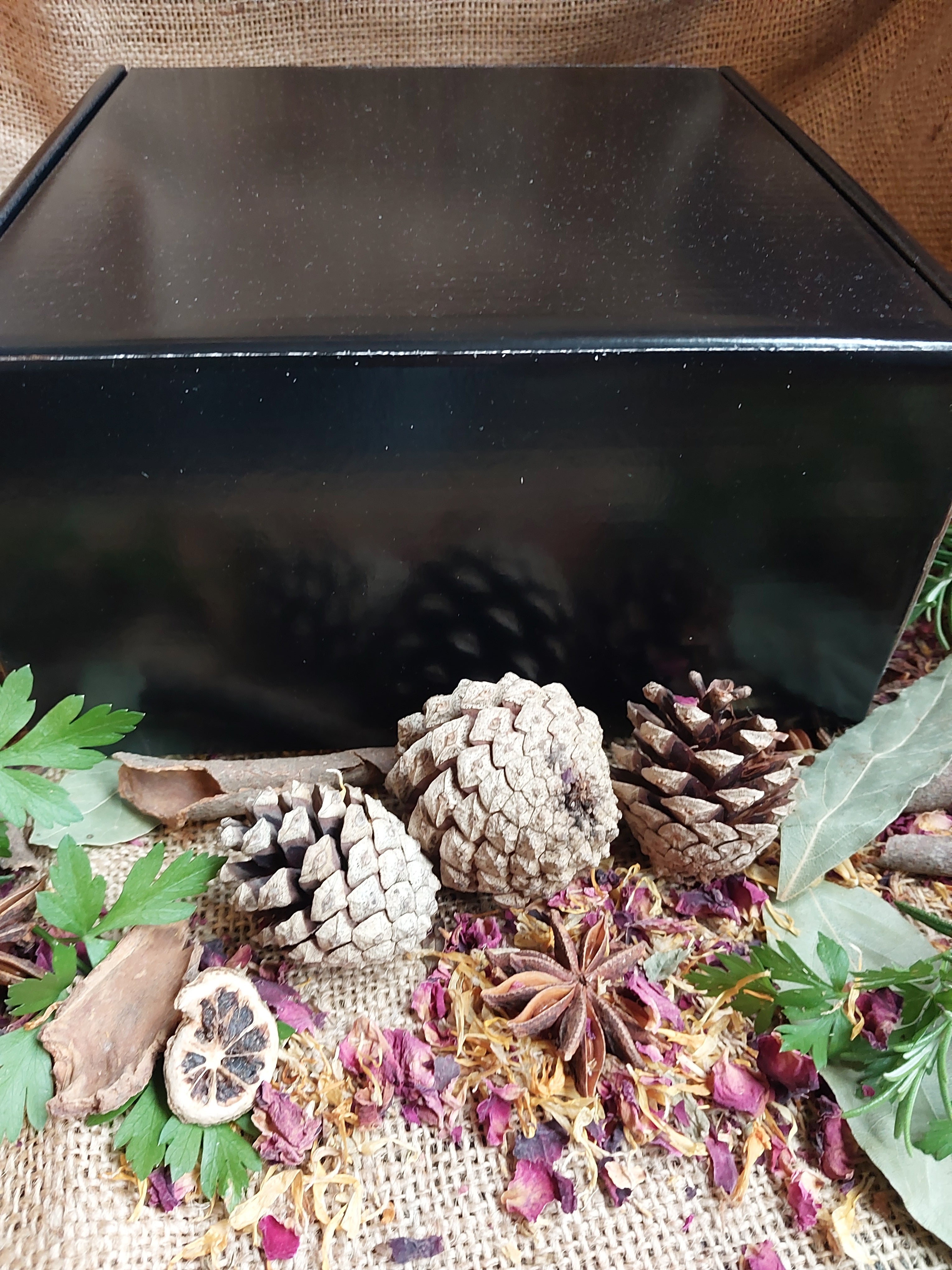 Witch Starter Kit  20 Herbs, Beginner's Guide, Candles, Spoon, Jars & Bags